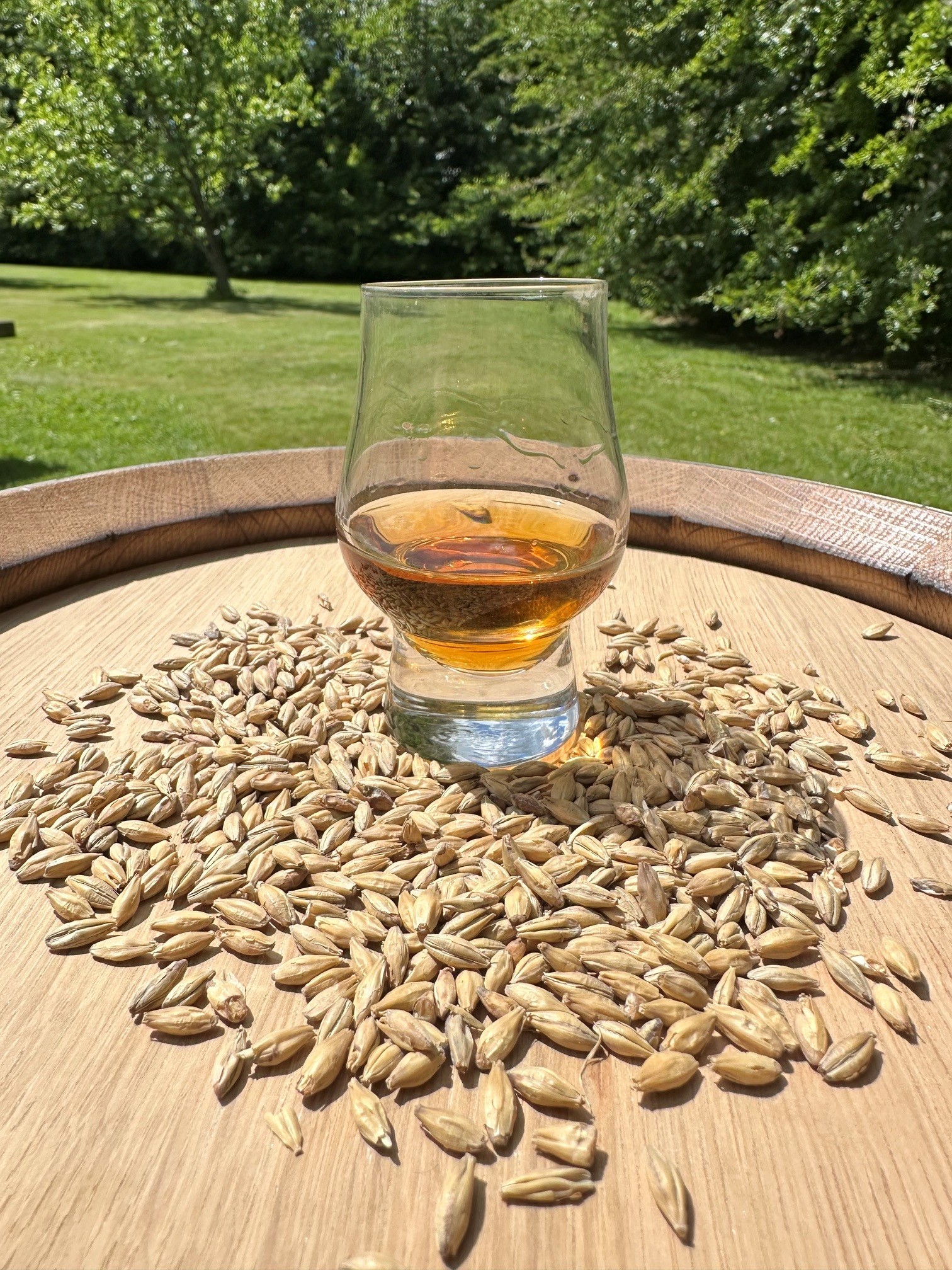 Holsted Whisky - Dansk håndværkswhisky fra Vestjylland